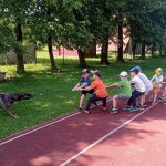 phoca_thumb_m_agility 42 Fotogalerie